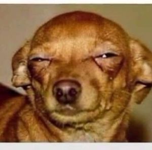 Meet your Posher, Jose